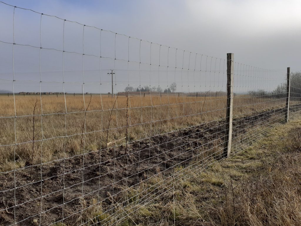 Vadháló kerítés akác oszlopokkal a háttérben egy szántófölddel.