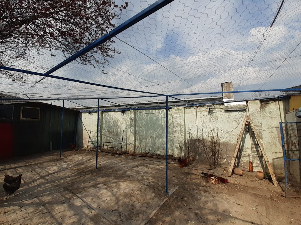 udvari rész vas oszlopokkal és vázszerkezettel amit csirkeháló borít