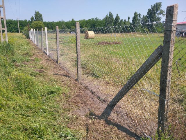 szép új drótkerítés beton oszlopokkal