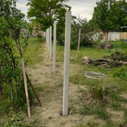 Oszlop