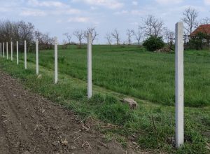 A leendő új kerítés fehér betonoszlopai leállítva, jobb oldalán fuves rész tanyával bal oldalán szántófőld